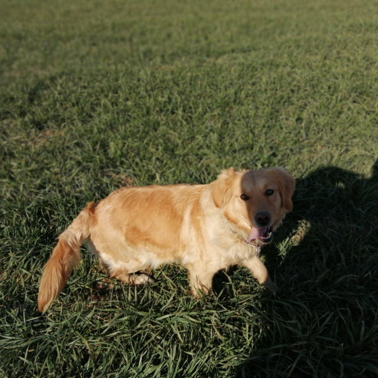 FBI-FemaleBodyInspector