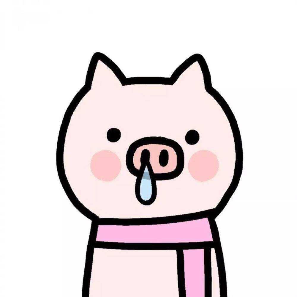 正在编辑的小猪