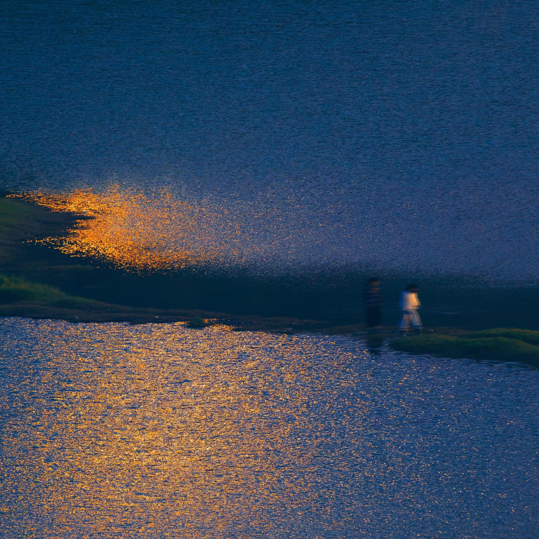 软柿子乐队（Soft Persimmon）