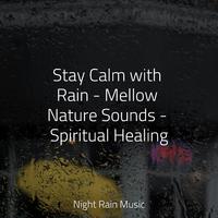 Stay Calm with Rain - Mellow Nature Sounds - Spiritual Healing