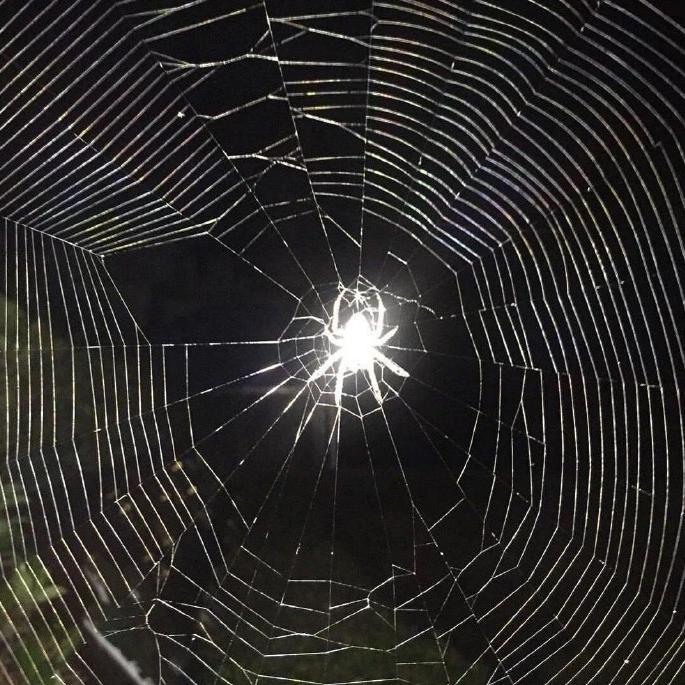 Pistol (Prod. by 9Zi)