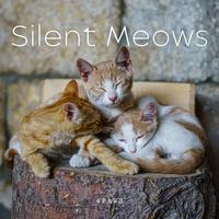 4Paws: Silent Meows