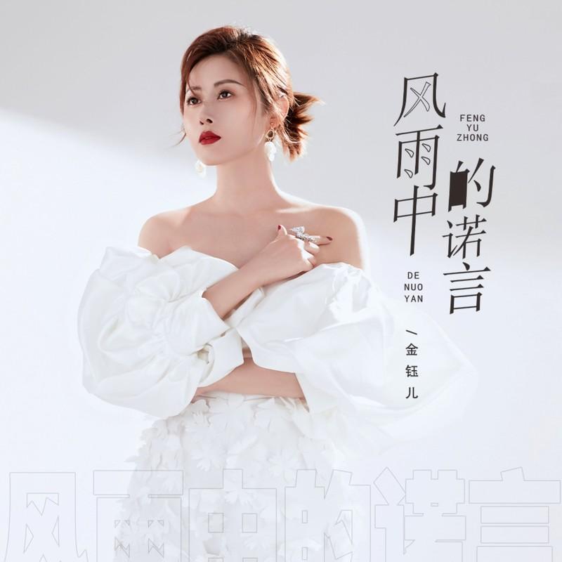 风雨中的诺言(DJ版)封面