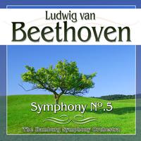 Beethoven. Symphony No.5