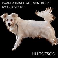 I Wanna Dance with Somebody (Who Loves Me) (Cover Version)