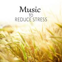 Music to Reduce Stress - Gentle Piano Meditation, Soft Music to Relax, Massage, Soothing Sounds for Restful Sleep, Inner Peace