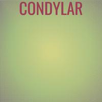 Condylar