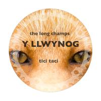 Y Llwynog