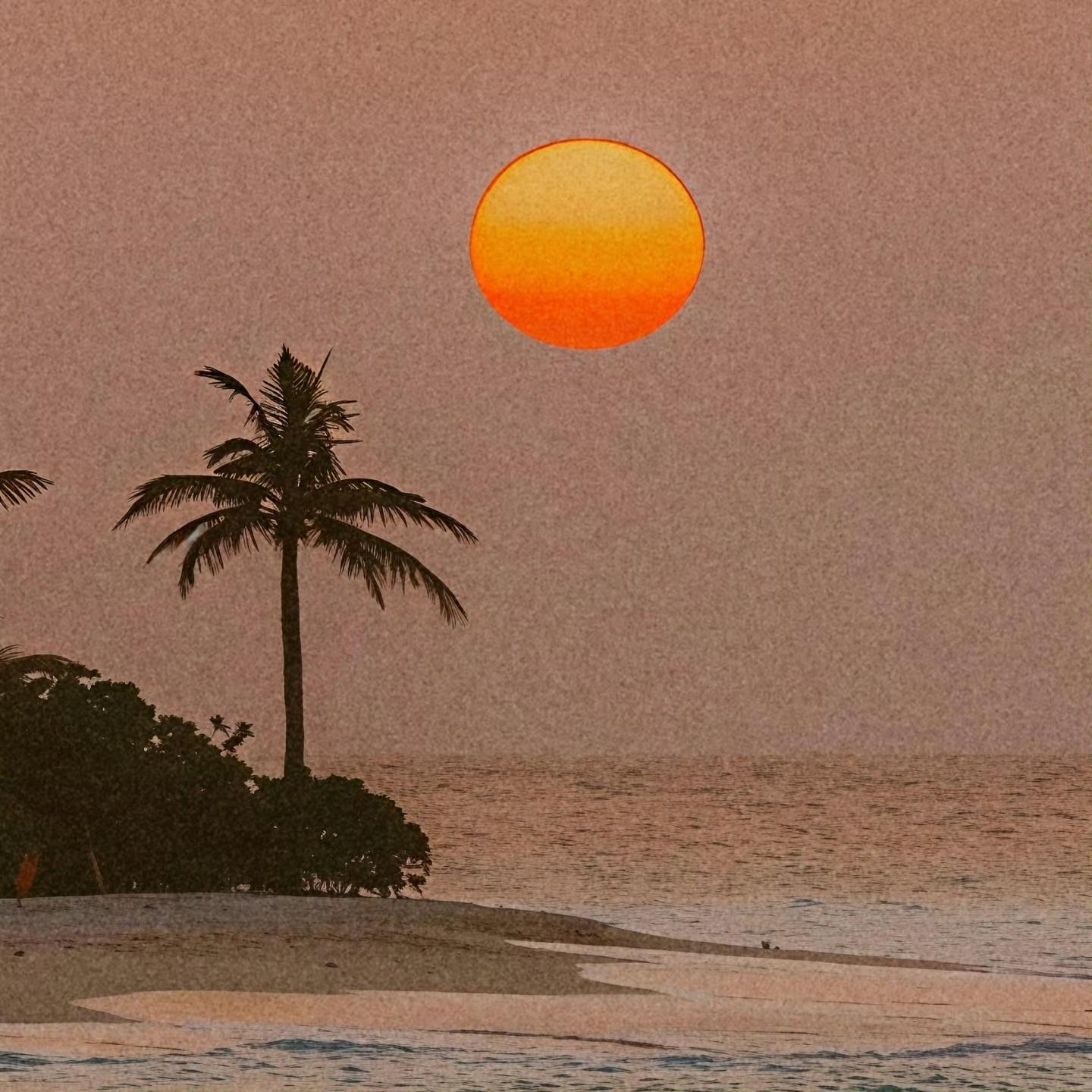 珊瑚海封面