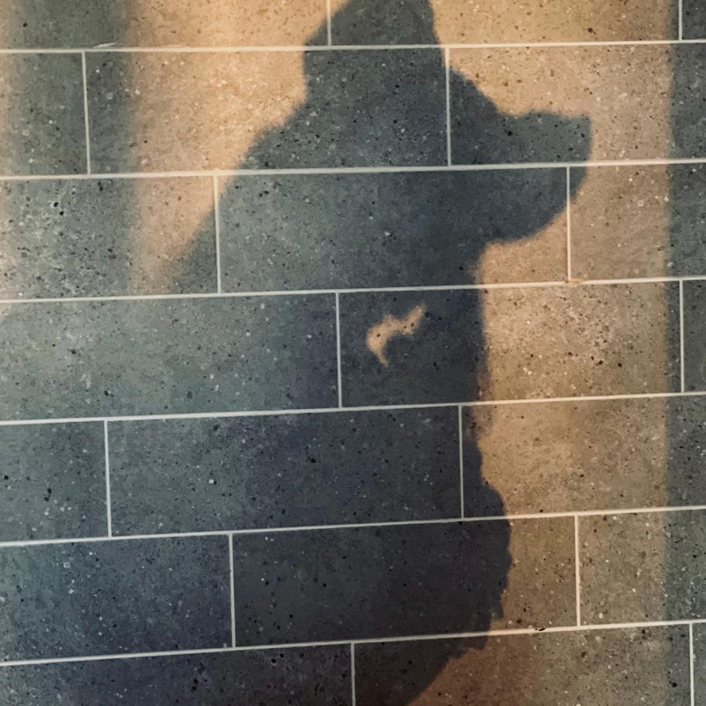 买手店那些欲罢不能的BGM（更新中）