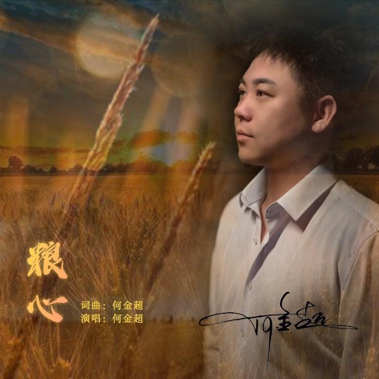 粮心 (DJ沈念版)封面