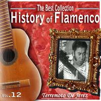 The Best Collection. History of Flamenco. Vol. 12: Terremoto de Jerez