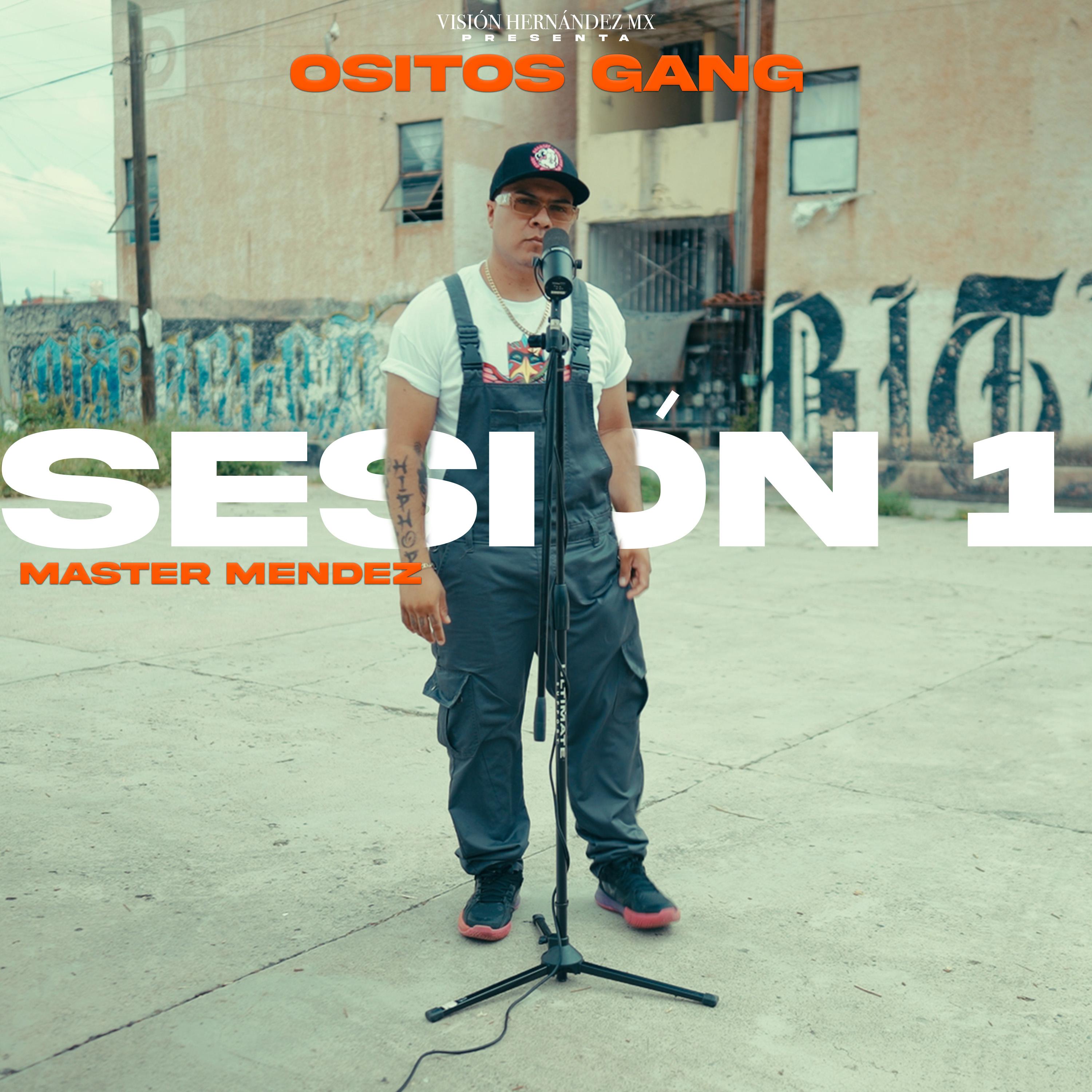 Sesión 1: Ositos Gang