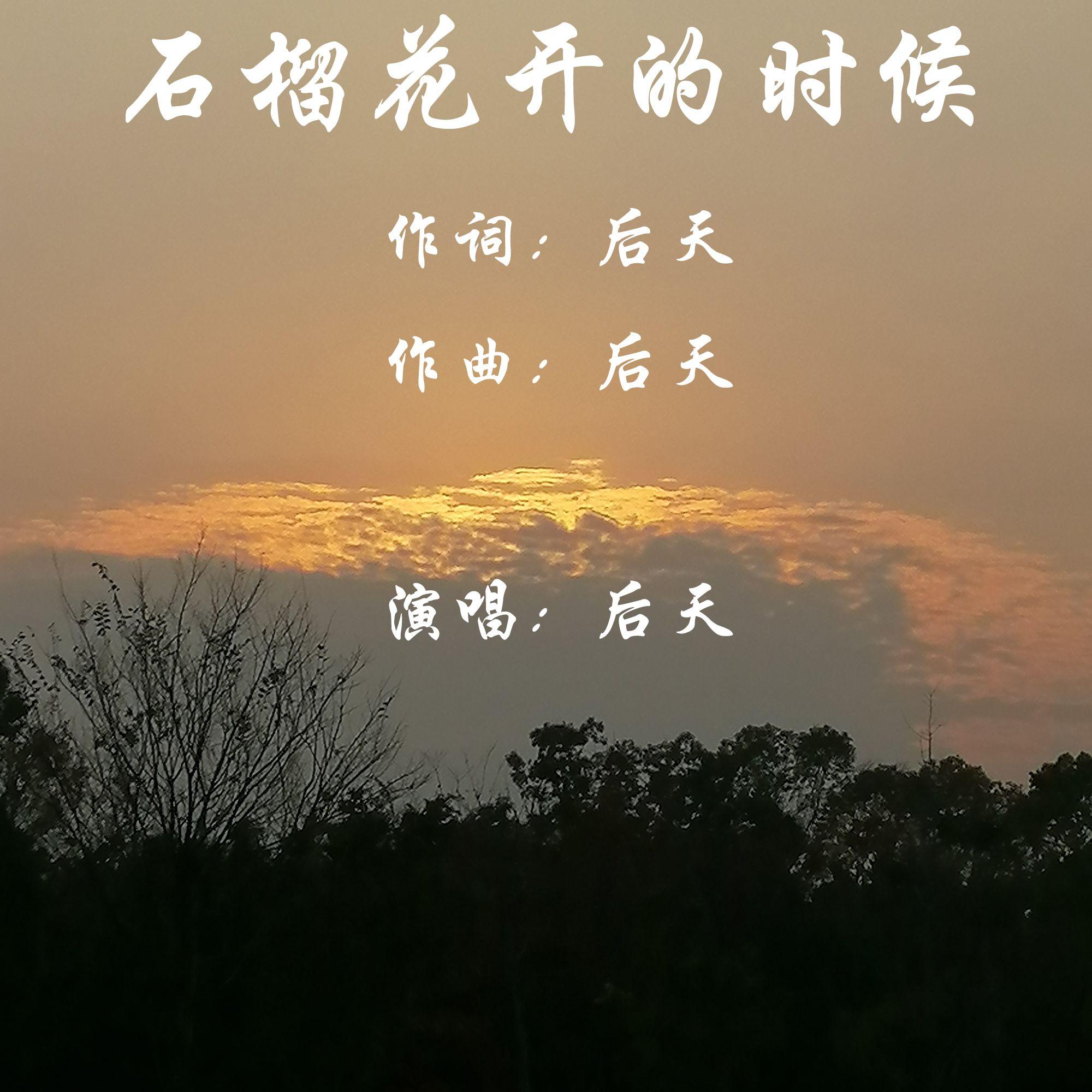 候鸟南飞封面