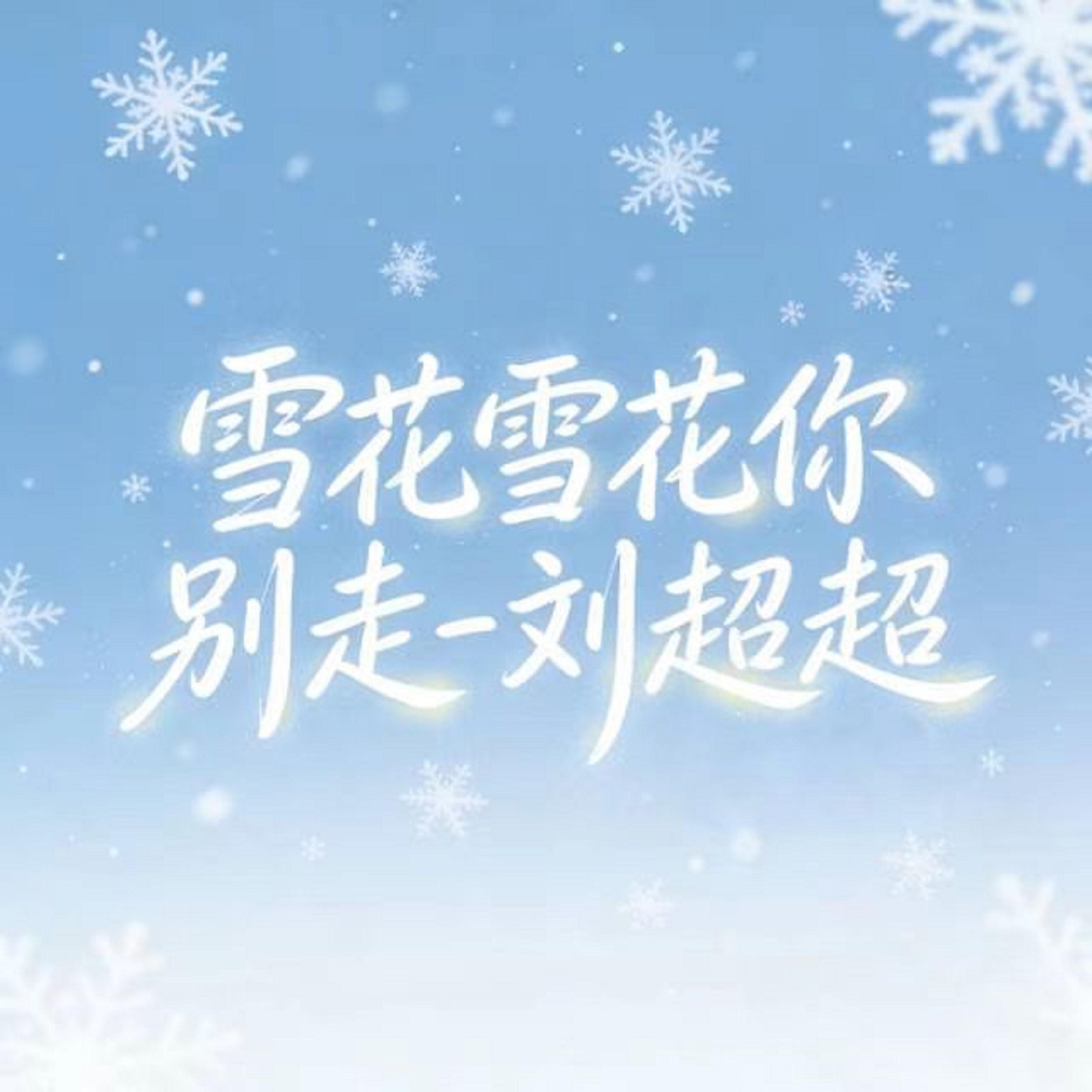 雪花雪花你别走 (DJ版)封面