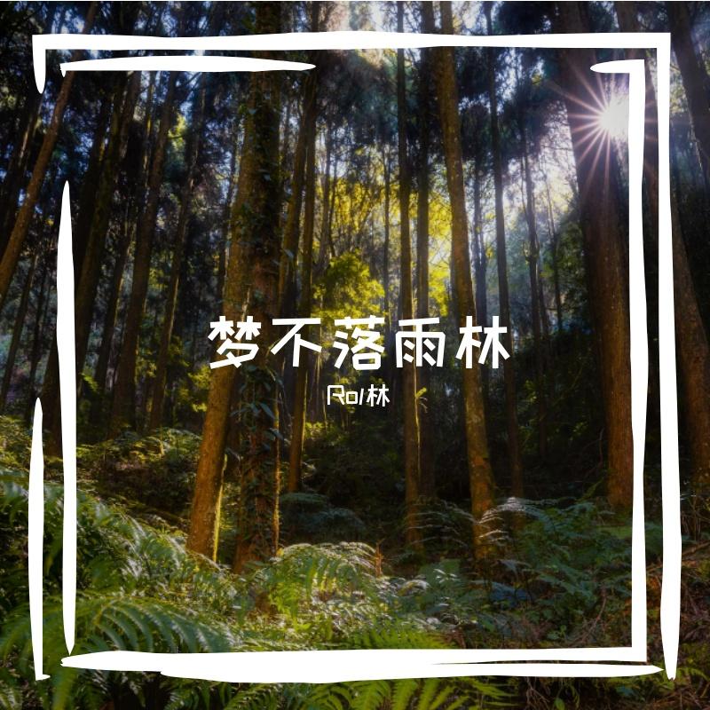 梦不落雨林封面