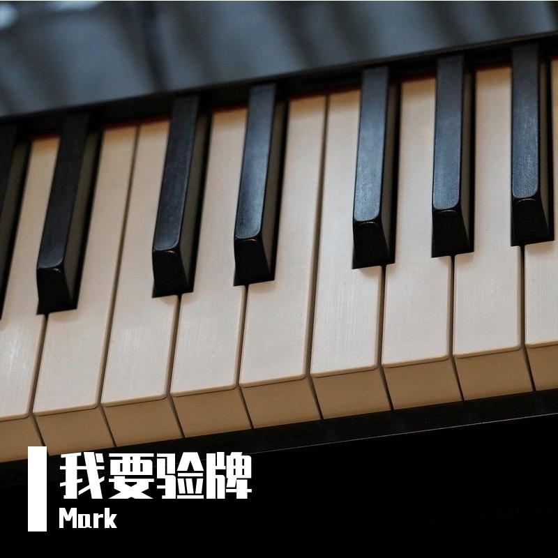 Passat-Mark -我要验牌（Mark remix）