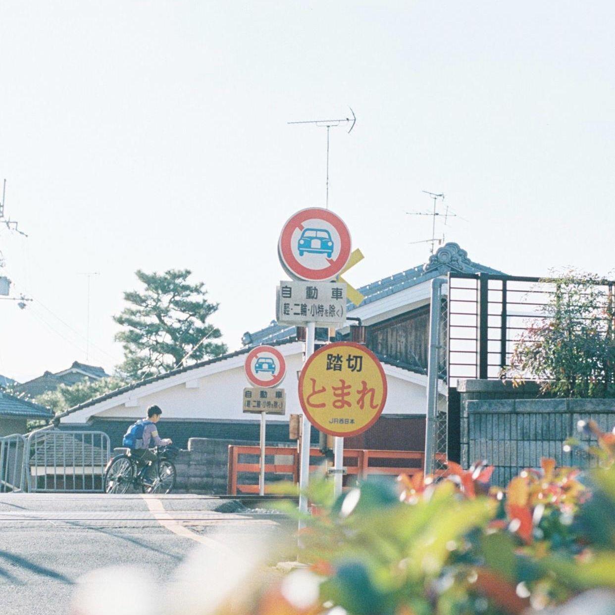 微笑的脸 伴奏 - 吕小姐、若溪(虚拟歌手)封面