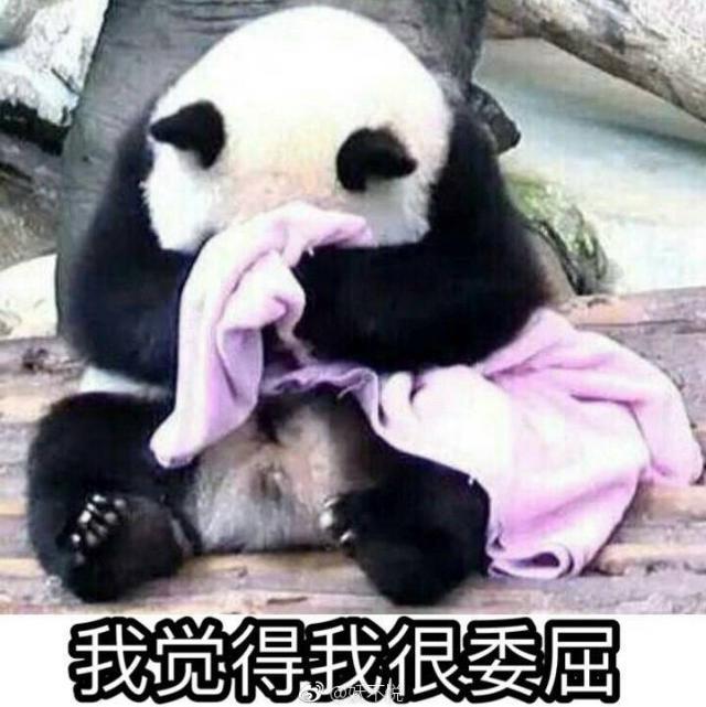 收官期:成都,一个来了就想有暖气的地方