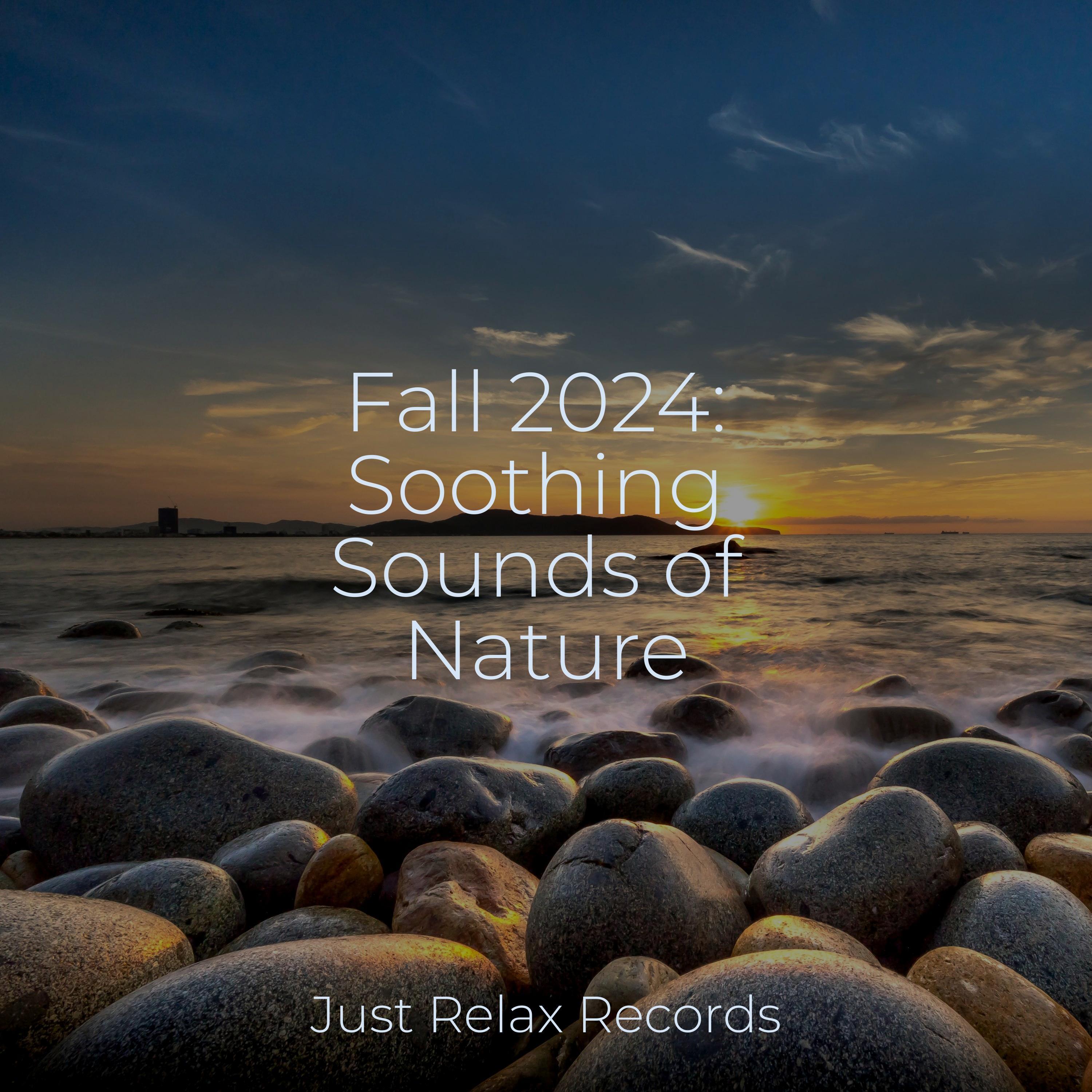 4.  Relaxing Flight Music: Calm & Soothing Sounds - mviq4fo
