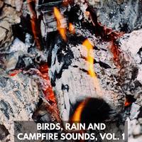 Birds, Rain and Campfire Sounds, Vol. 1