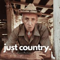 Just Country (Lively Adventurous Tunes, Vol. 1)