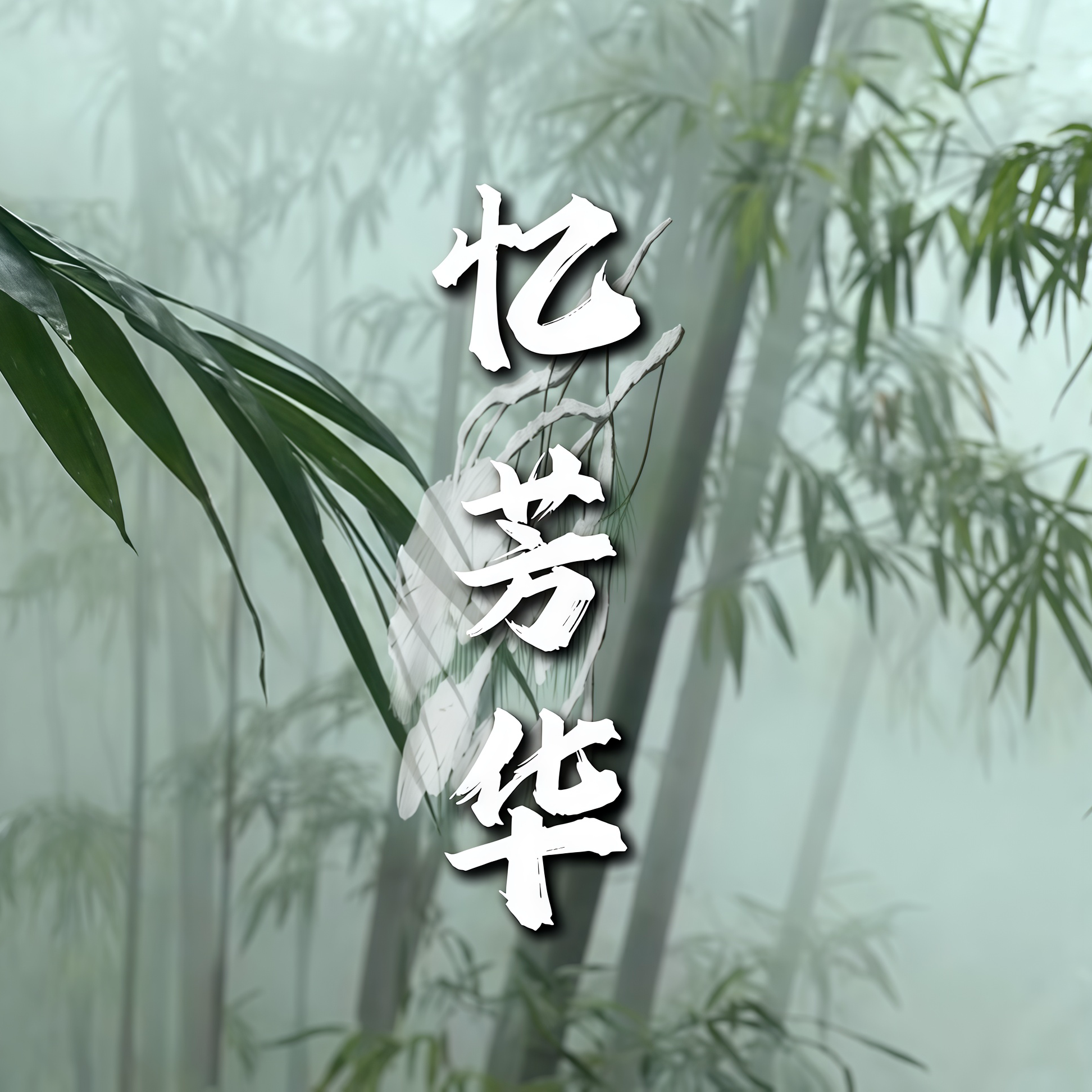 忆芳华专辑