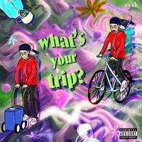 What's your trip?