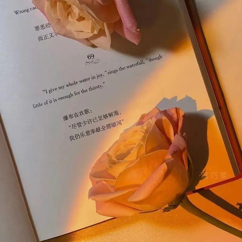 葛东琪-悬溺0.9x - 夕里糊涂.萌封面