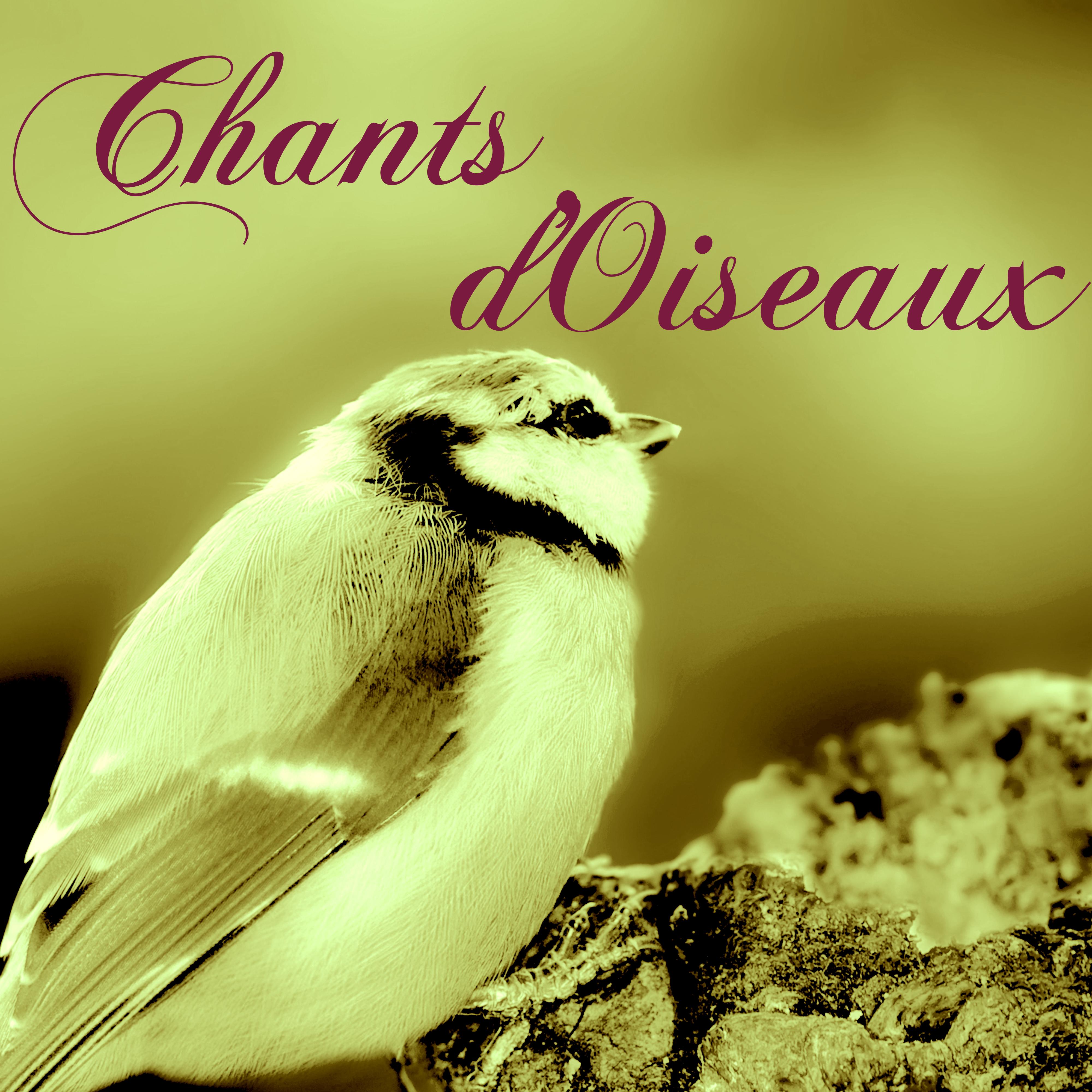 Sons de la Nature (Eau pour le detente)