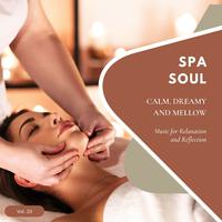 Spa Soul - Calm, Dreamy And Mellow Music For Relaxation And Reflextion, Vol. 33