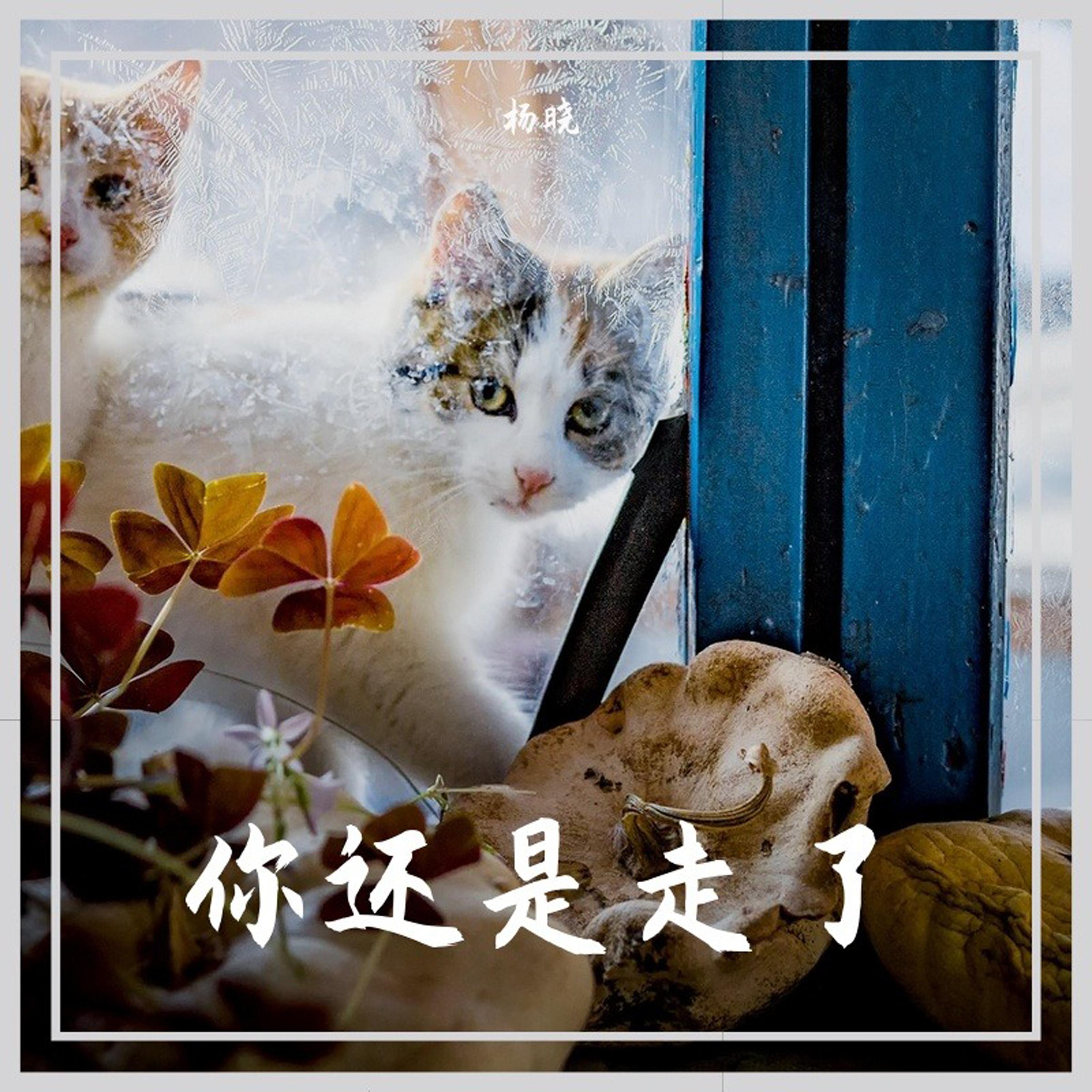 Wellerman (Remix)封面