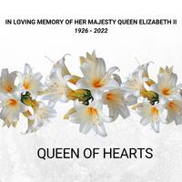 Queen of Hearts (Radio Edit)