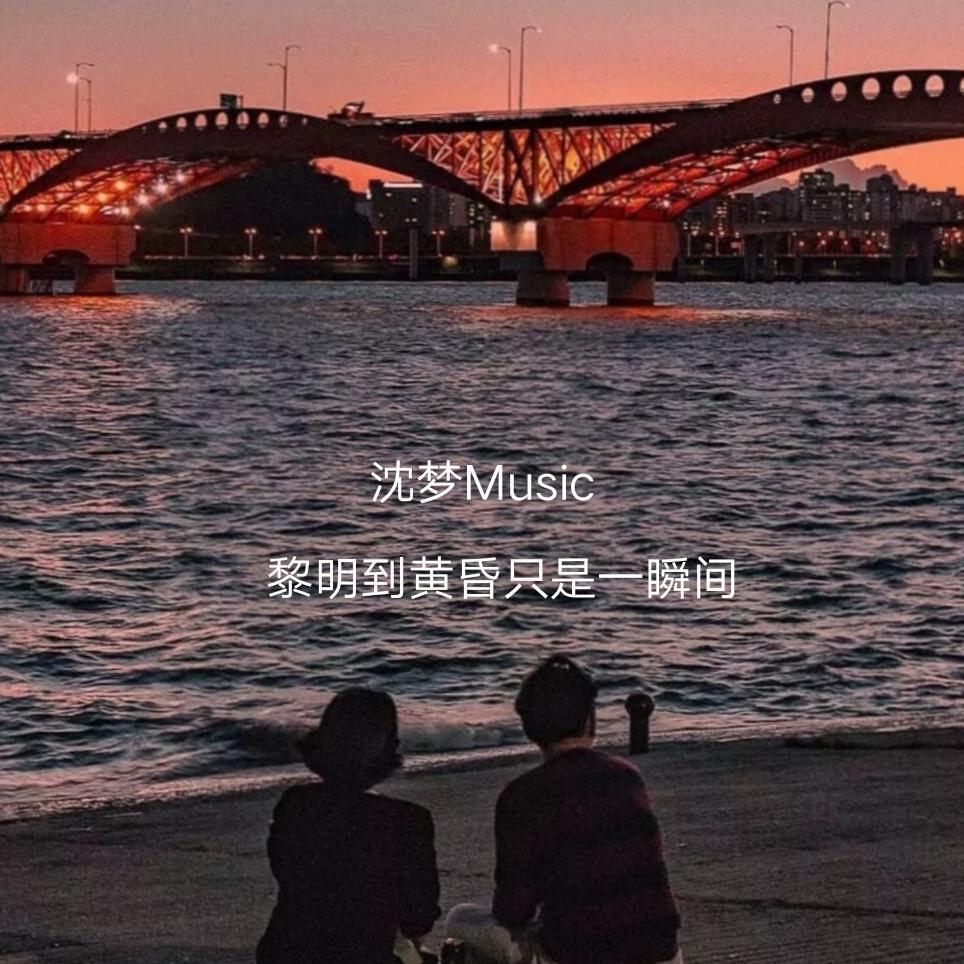 杀死那个石家庄人（Au女声烟嗓版）封面