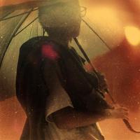 Rain Field (Golden)