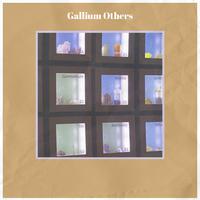 Gallium Others