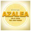 Tara St. Michel - Azalea (From 