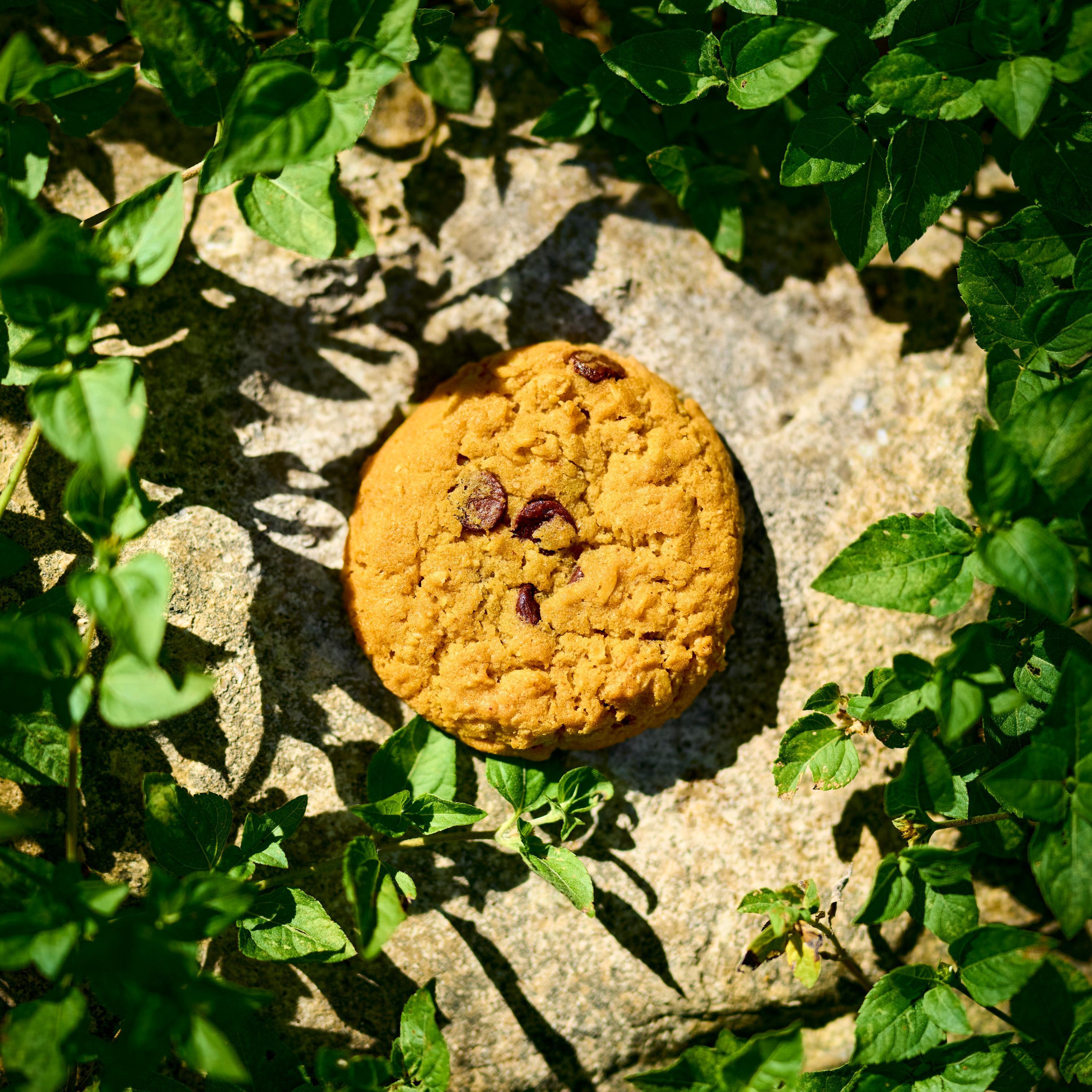 When Should You Ascend In Cookie Clicker - 08rwylg