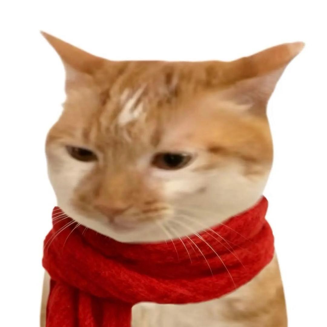 柳多恋 (YOU DAYEON)