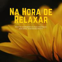 Na Hora de Relaxar: Músicas Instrumentais para Meditação, Bem Estar, Serenidade Mental