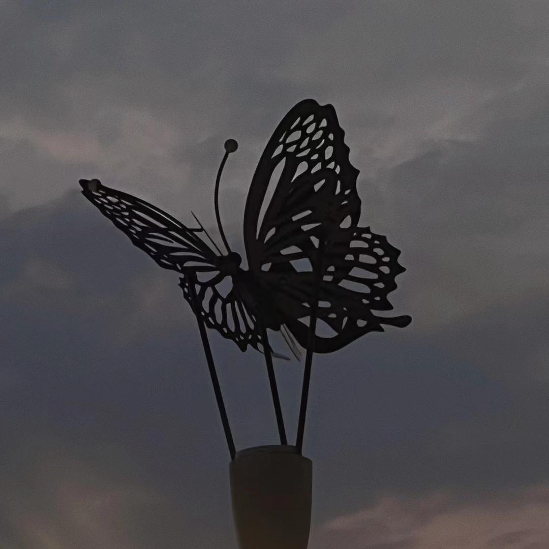 《珍珠幻象 (Live)》GALI   高品质纯伴奏