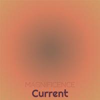 Magnificence Current