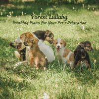 Forest Lullaby: Soothing Piano for Your Pet's Relaxation