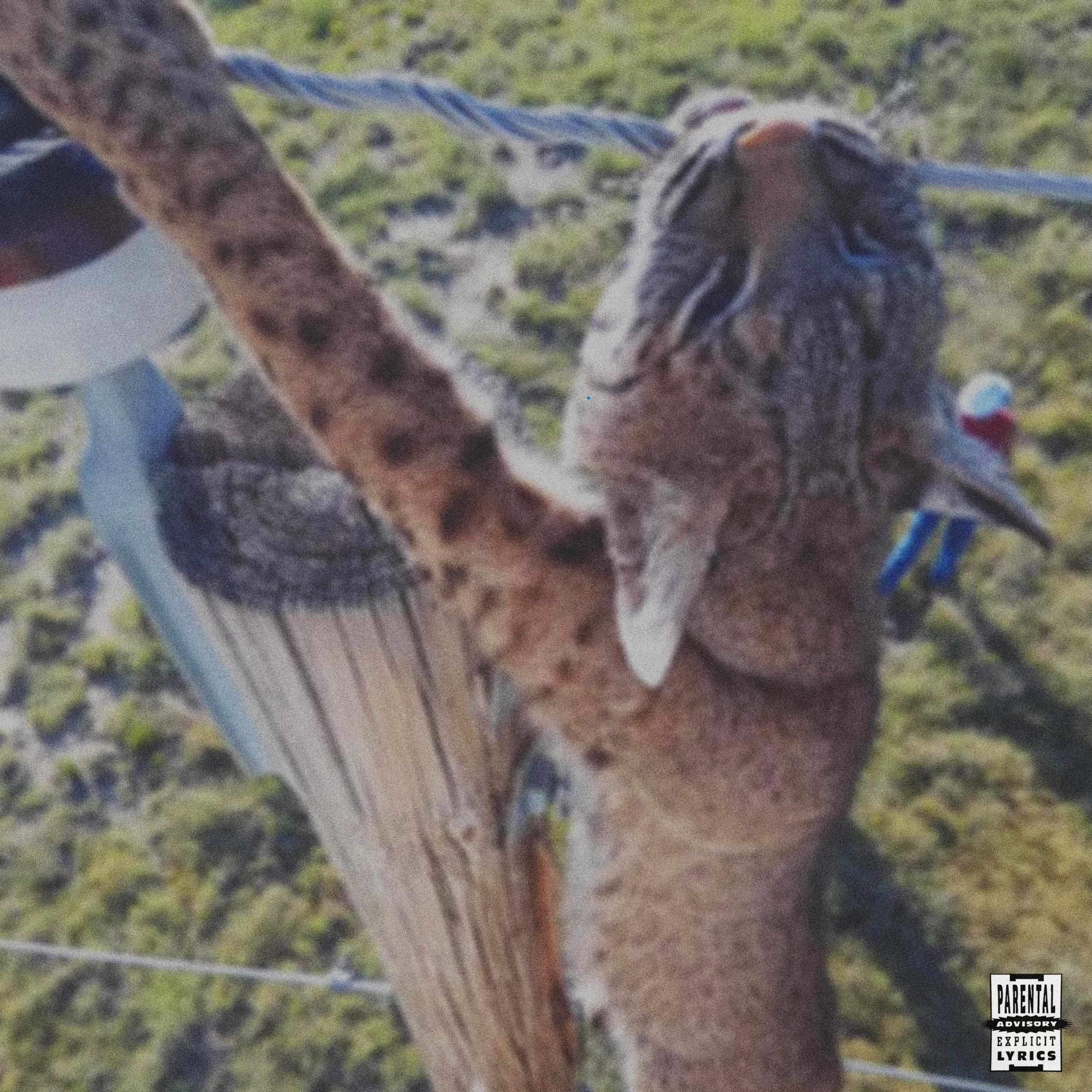 I'M RAW (feat. Josh The Author)