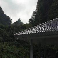 东岑