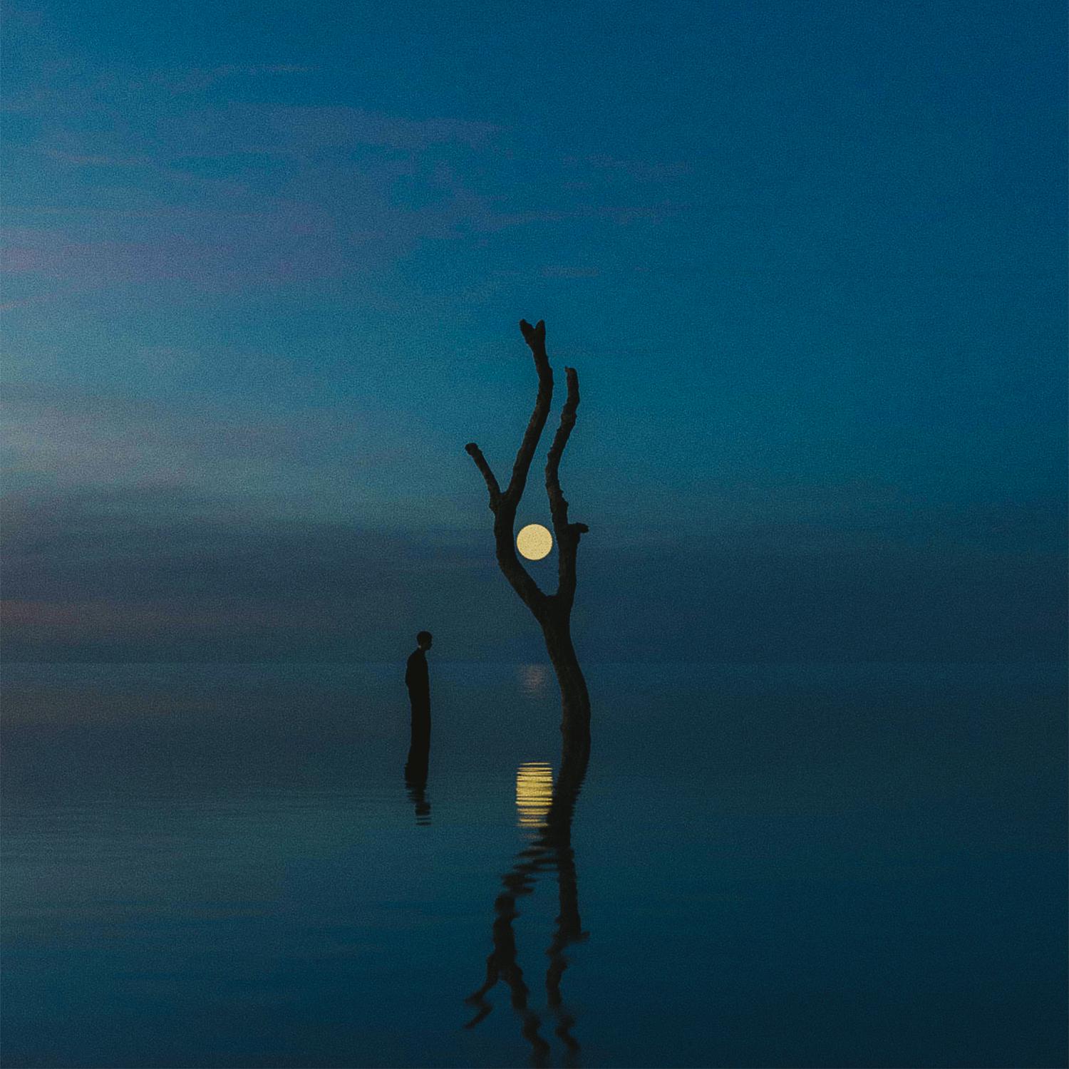 Shades of You (feat. Henry Green) (Tim Engelhardt Remix)