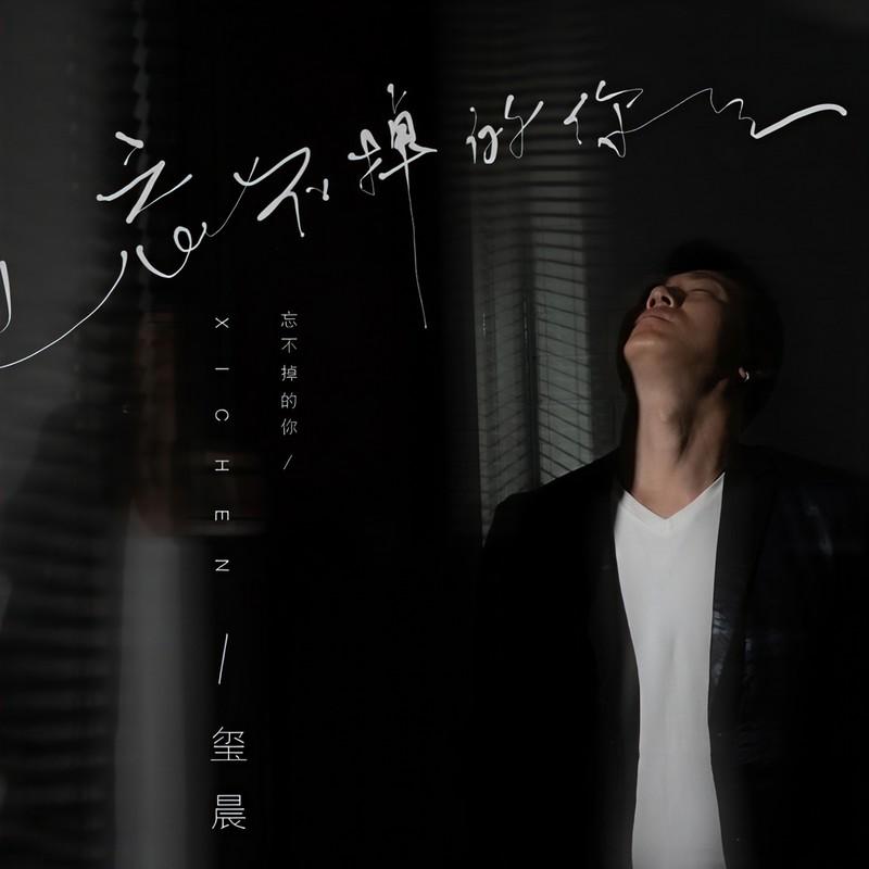 忘不掉的你 (伴奏)封面