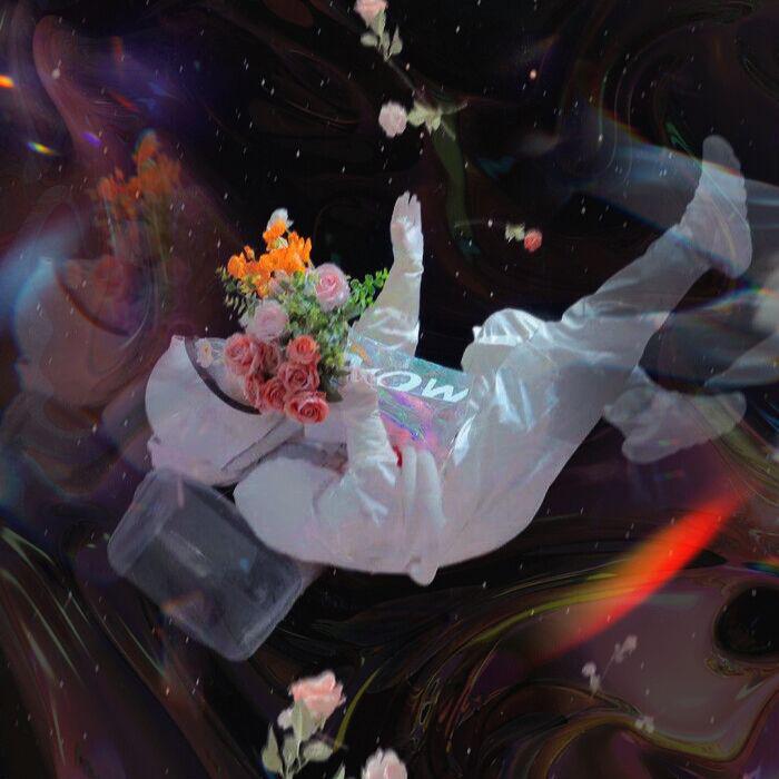 今 夜 浪 漫 舞 会（hoputer / 贝奥武夫 Bear woof remix）