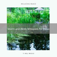 Storm and Birds Whispers for Relax