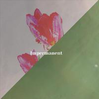 Impermanent